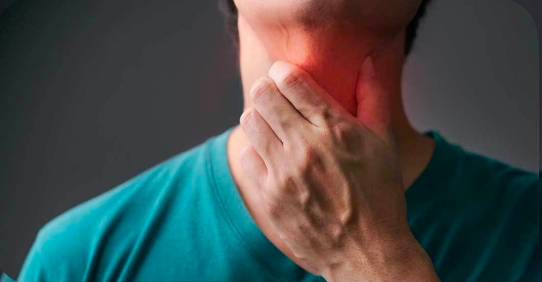 Larynx / Gorge